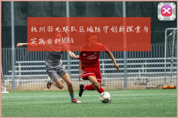 杭州羽毛球队区域防守创新探索与实践分析MBA