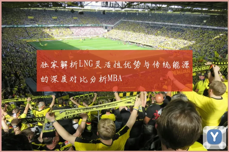 独家解析LNG灵活性优势与传统能源的深度对比分析MBA