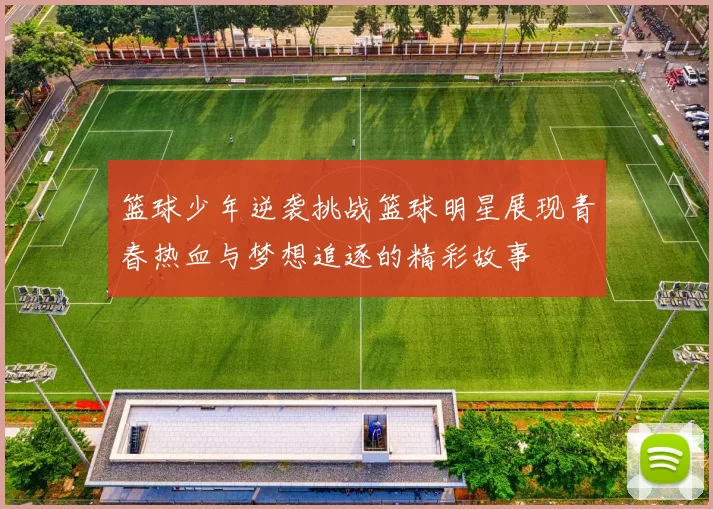 篮球少年逆袭挑战篮球明星展现青春热血与梦想追逐的精彩故事