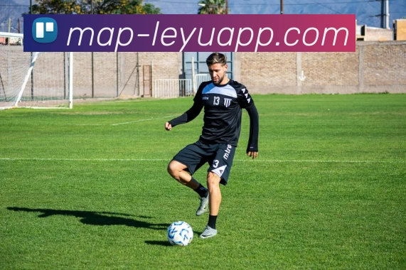 App Interface Preview